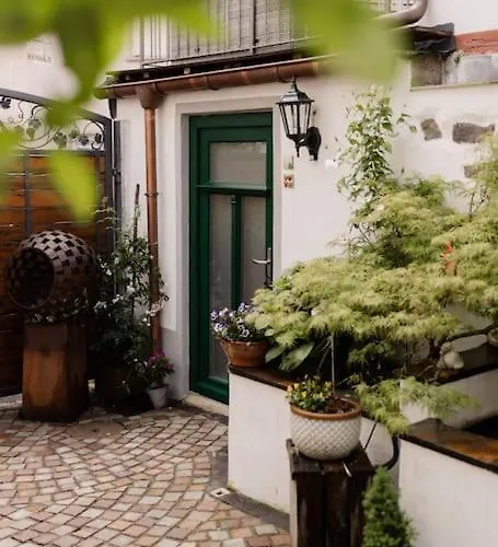 Modernes Tiny House Mit Sonnenterrasse