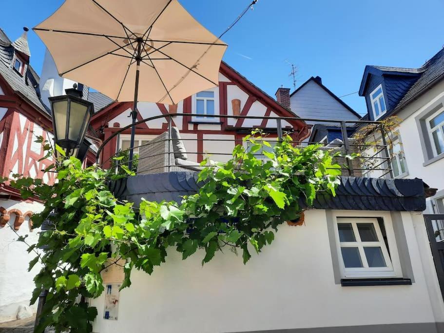 Modernes Tiny House Mit Sonnenterrasse Apartment Ediger-Eller